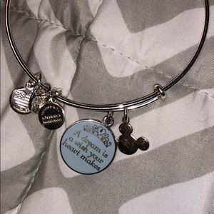 Disney Alex and Ani